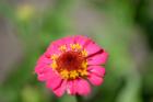 thumbs/DSC_0716.JPG.jpg