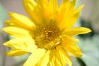 thumbs/DSC_0720.JPG.jpg