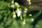 thumbs/DSC_0721.JPG.jpg