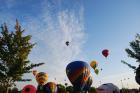 thumbs/DSC_0046.jpg