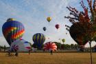 thumbs/DSC_0049.jpg