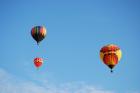 thumbs/DSC_0081.jpg
