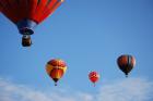 thumbs/DSC_0087.jpg