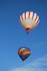 thumbs/DSC_0098.jpg