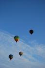 thumbs/DSC_0099.jpg