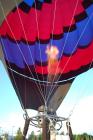 thumbs/DSC_0103.jpg