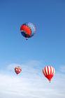 thumbs/DSC_0111.jpg