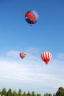 thumbs/DSC_0112.jpg