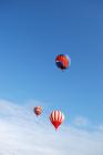 thumbs/DSC_0114.jpg