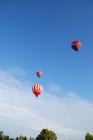 thumbs/DSC_0115.jpg