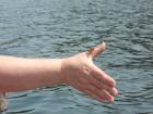 thumbs/DSCN8131.JPG.jpg