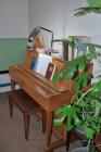 thumbs/DSC_0354.JPG.jpg